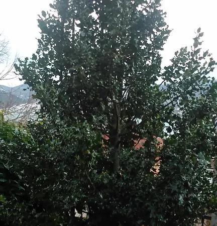 La Huerta Riaño